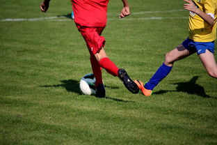 开云体育下载-世界围棋赛多国选手展现东亚围棋影响力,东南亚围棋 第3张